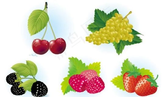 水果矢量素材图片