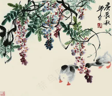 鸭趣图图片 鸭趣图图片