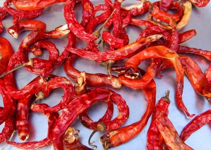 干辣椒图片