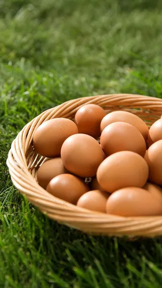 草地上竹篮子装着鸡蛋高清摄影图片