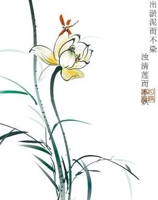 冰清玉洁 国画 荷花 蜻蜓图片