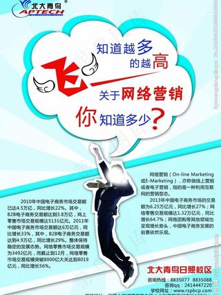 单页 北大青鸟 飞图片
