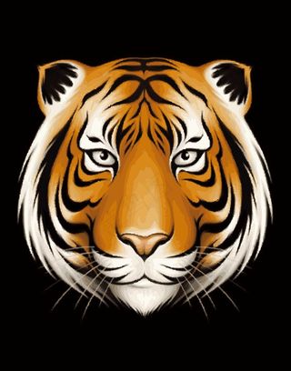 老虎头像插画卡通动物