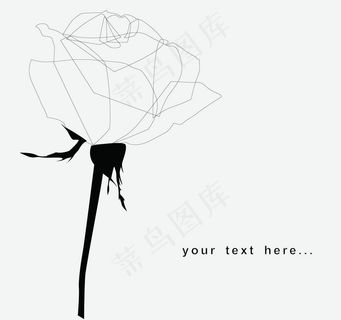 手绘玫瑰01矢量