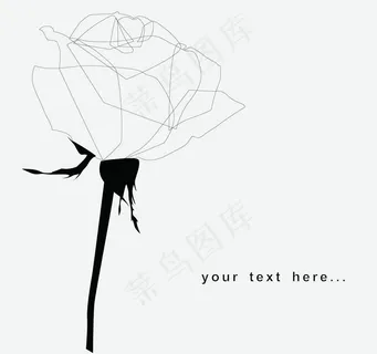 手绘玫瑰01矢量