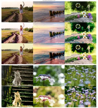 风景照柔美效果PS动作