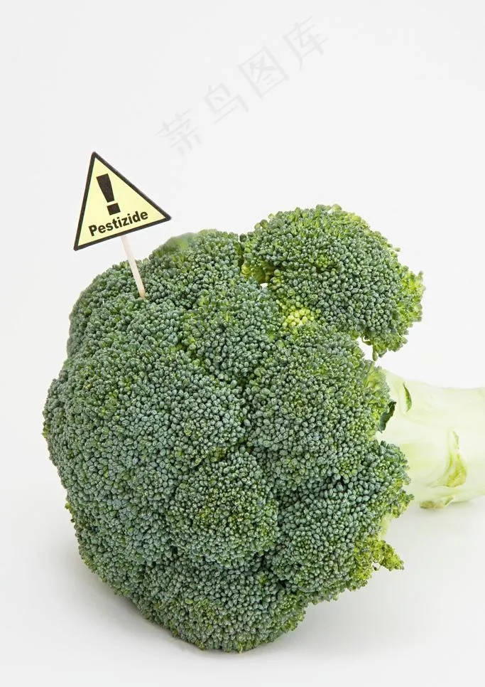 菜花设计素材图片