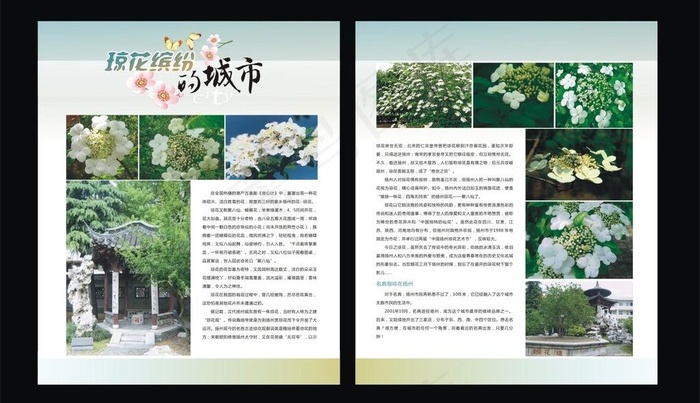 生活人文杂志内页图片cdr矢量模版下载