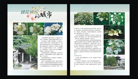 生活人文杂志内页图片 生活人文杂志内页图片