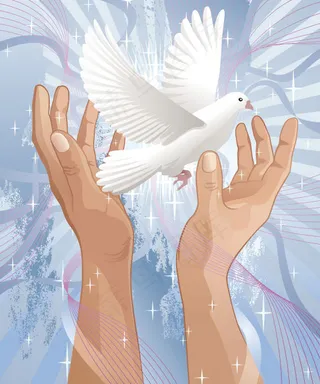 双手和鸽子矢量素材