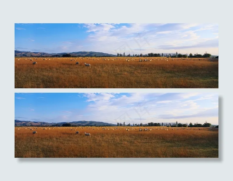牧场宽幅风景
