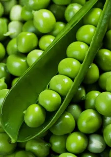 豌豆图片