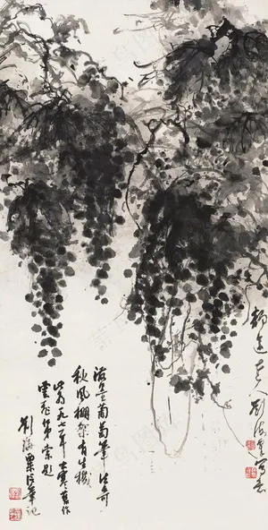 葡萄图片 葡萄图片