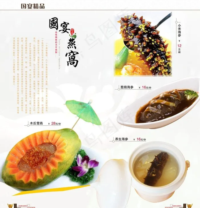 金米海参 海参图片(3579X3945(DPI:300))psd模版下载