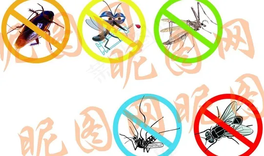 杀虫图片