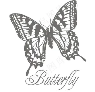 蝴蝶 花纹 底纹