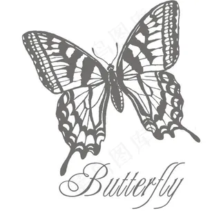 蝴蝶 花纹 底纹