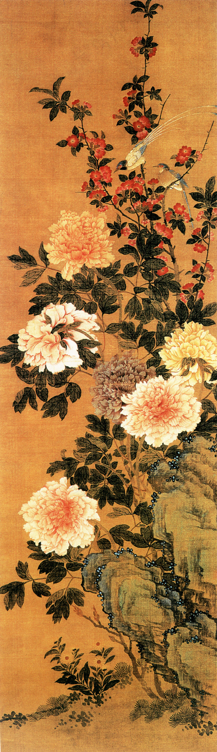 国画 牡丹 高清素材