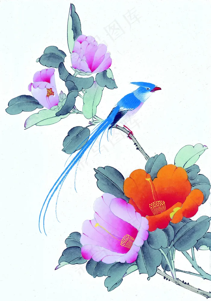花鸟虫鱼工笔