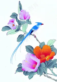 花鸟虫鱼工笔 花鸟虫鱼工笔