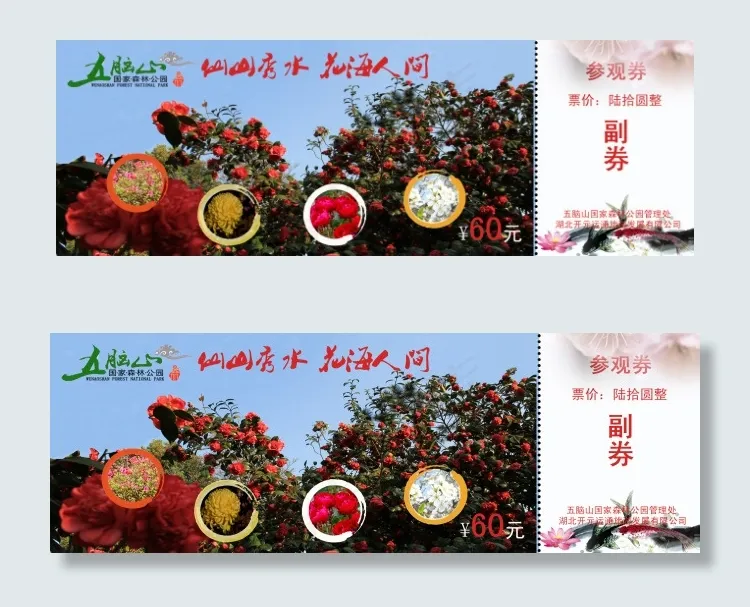 景区门票(2362X803(DPI:300))psd模版下载