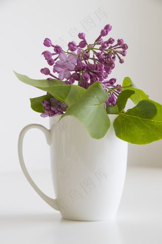 简约小清新文艺风插花静物摆拍背景