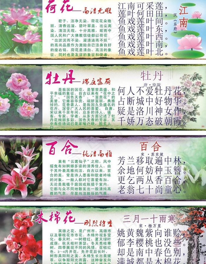 荷花牡丹木棉百合图片(210X297)cdr矢量模版下载