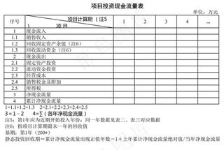 项目投资现金流量表