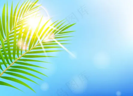 春天绿叶背景图片