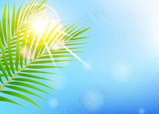 春天绿叶背景图片