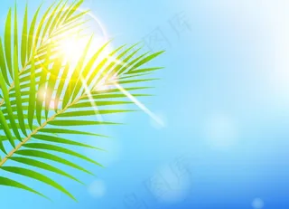 春天绿叶背景图片