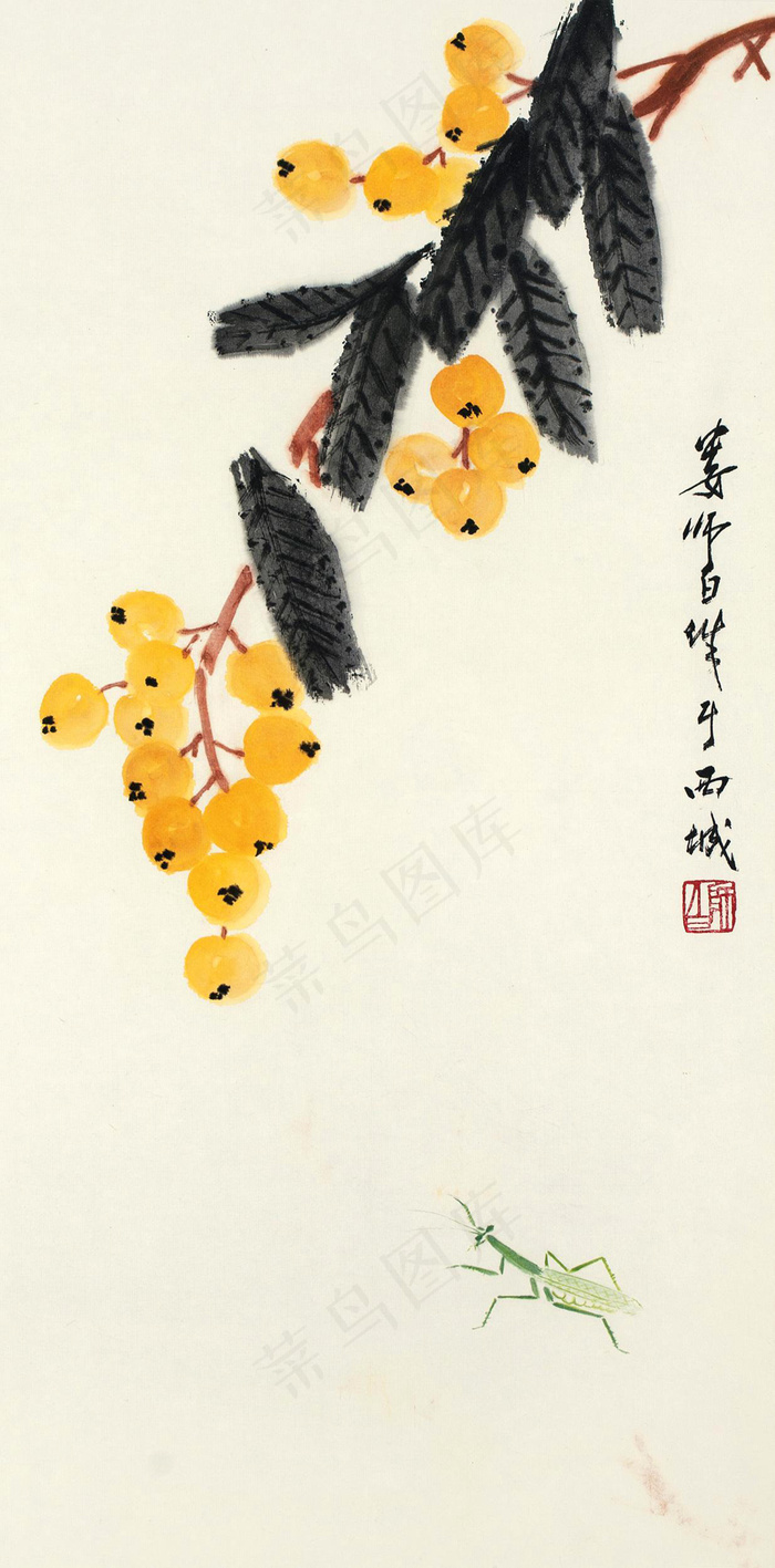 枇杷草虫图片