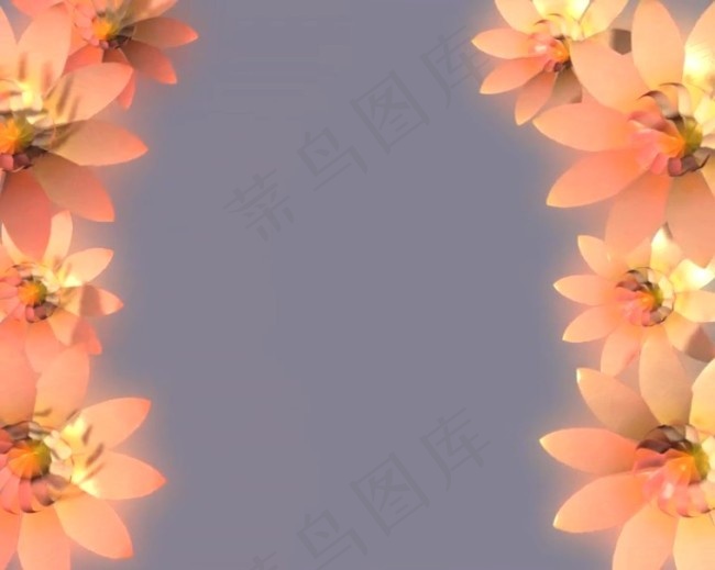 花纹背景视频素材