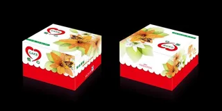 港式蛋糕盒设计平面图