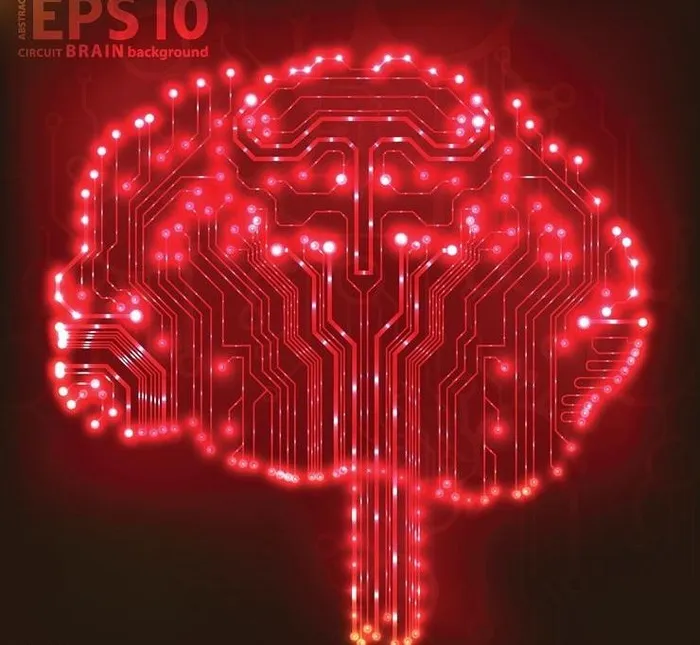 人脑大脑结构设计图片eps,ai矢量模版下载