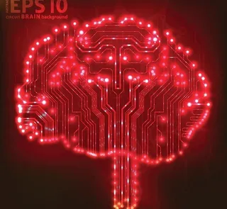 人脑大脑结构设计图片