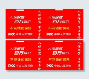 中国人寿保险无纺布袋图片