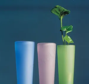 杯子植物图片