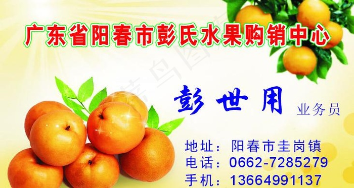 名片 卡片 水果 桔子 水果图片cdr矢量模版下载