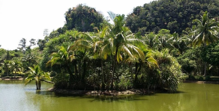 甲米度假酒店海湖图片