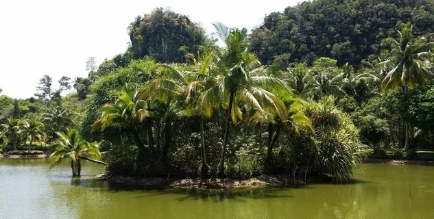 甲米度假酒店海湖图片 甲米度假酒店海湖图片