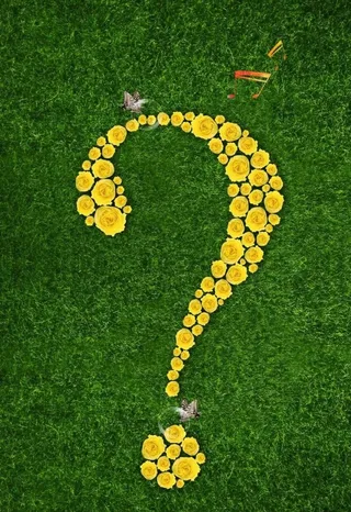 草地上黄色花朵组成的问号