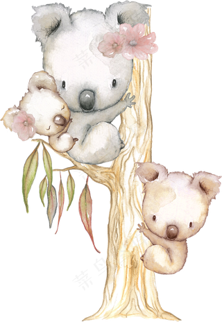 手绘三只爬树的考拉PNG透明素材