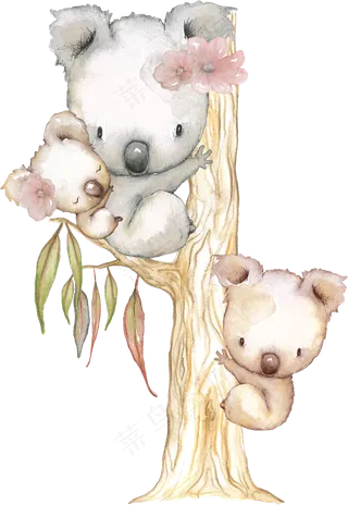 手绘三只爬树的考拉PNG透明素材
