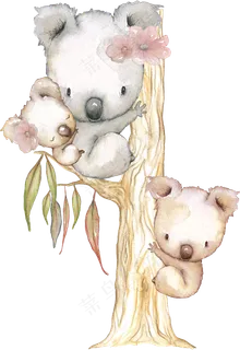 手绘三只爬树的考拉PNG透明素材 手绘三只爬树的考拉PNG透明素材