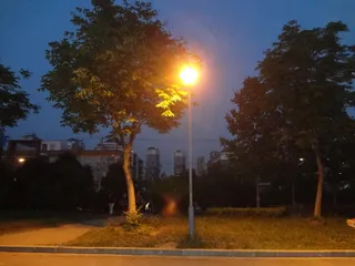 街边的路灯图片