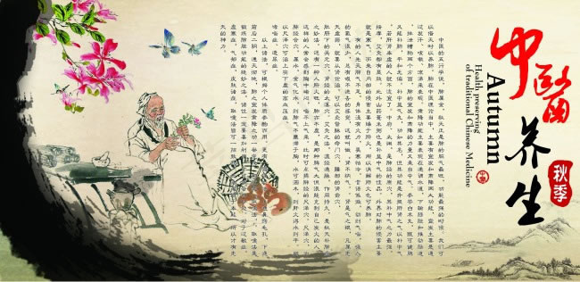 水墨中国风秋季中医养生宣传展板