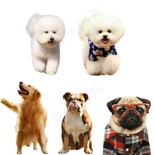 狗狗 免抠素材PSD分层