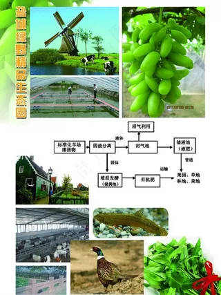 农业生态园图片