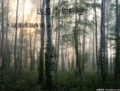 四季风景绚丽 四季风景绚丽